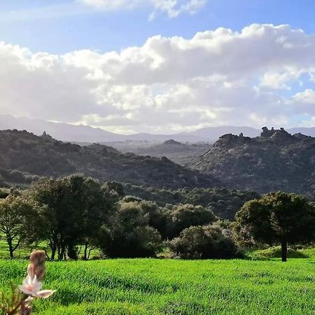 Casa Verdi Telti ภายนอก รูปภาพ